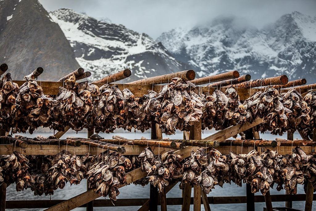 Voyage Photographie des lumières arctiques aux Lofoten 2