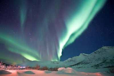 © Gaute Bruvik/Visit Norway - Aurore boréale - Kattfjordeidet - Kvaløya - Norvège Aurore boréale - Kattfjordeidet - Kvaløya - Norvège