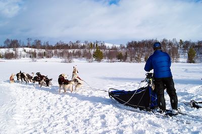 © Stéphanie Prade - Chiens de traineau - Norvège Chiens de traineau - Norvège