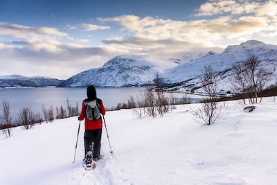 © Arctic Panorama Lodge - Entre mer et montagnes au bord de tromso - Norvège Entre mer et montagnes au bord de tromso - Norvège