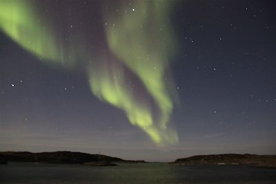 Aurore boréale - Région de Tromso - Norvège