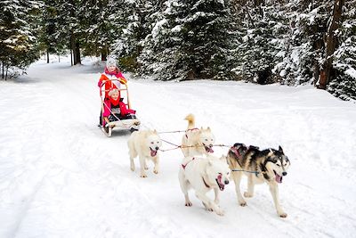 Voyage Petits et grands apprentis mushers de Norvège 1