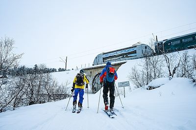 Ski dans la région de Myrdal - Norvège