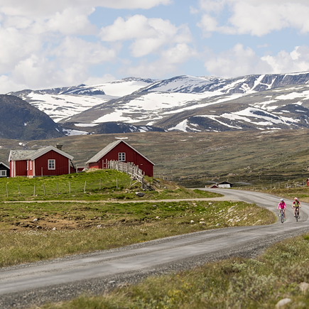 Vélo Norvège