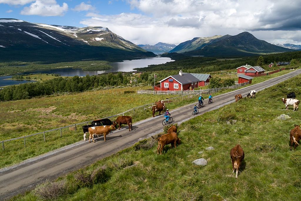 Image Mjølkevegen - Oslo - Vélo Fjords
