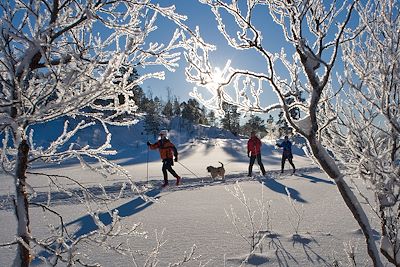 Voyage Sur les hauts plateaux enneigés de Lillehammer 1