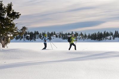 Sur les hauts plateaux enneigés de Lillehammer
