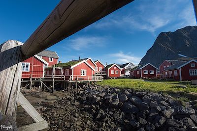 Rorbuer - Iles Lofoten - Norvège