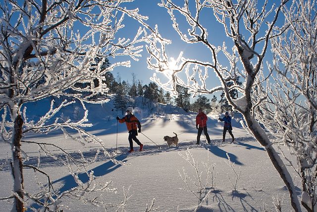 Voyage Ski de fond au cœur de la Norvège enneigée