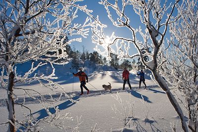 Ski de fond au cœur de la Norvège enneigée
