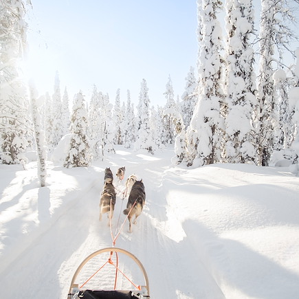Aurores boréales Norvège Laponie finlandaise