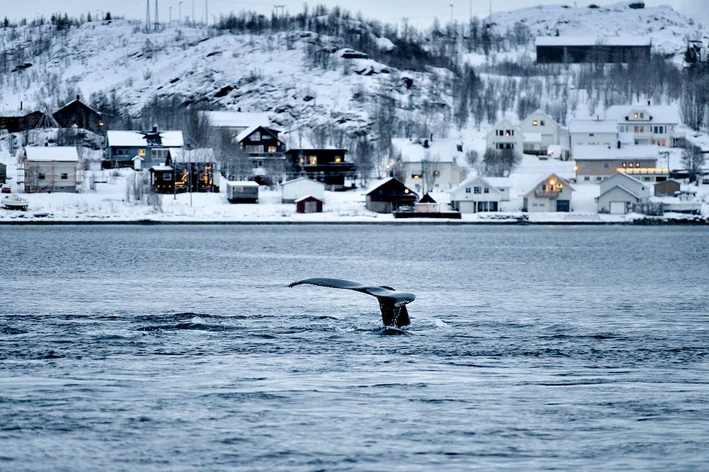 Image Multi-activités - Laponie - Kilpisjärvi