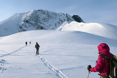 Voyage Rando raquettes à Kvaløya et Senja 2