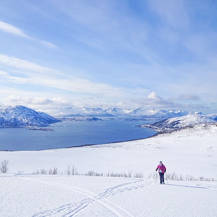 Aurores boréales Norvège Laponie norvégienne