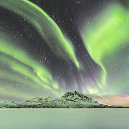 Observation animalière Norvège