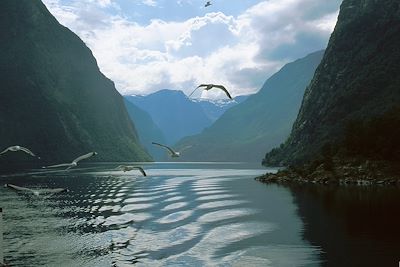 © Jens Henrik Nybo Innovasjon Norge - Sognefjord - Norvège Sognefjord - Norvège