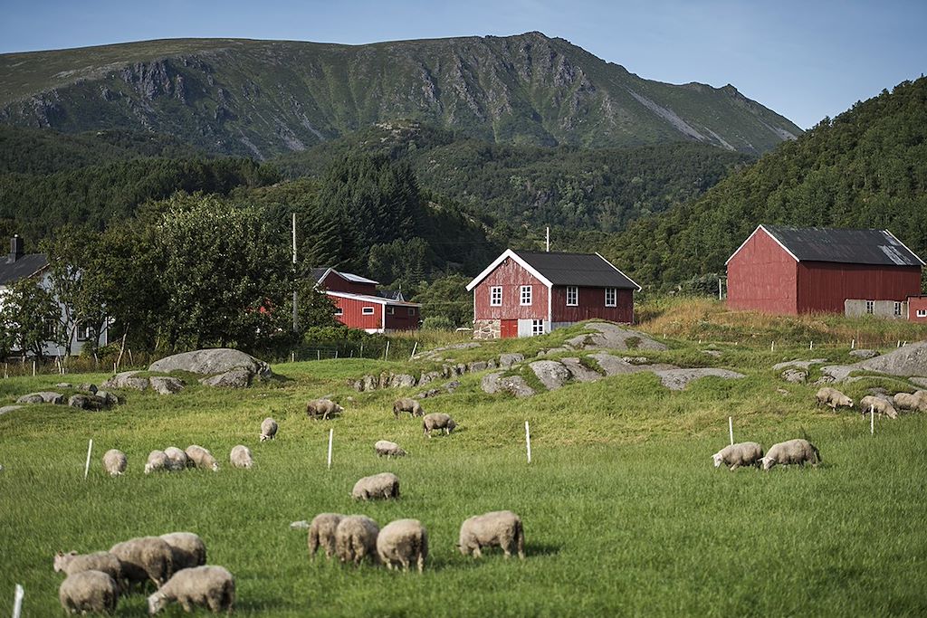 Image Randonnée Ile De Senja - Randonnée Iles Lofoten - Parc National Anderdalen
