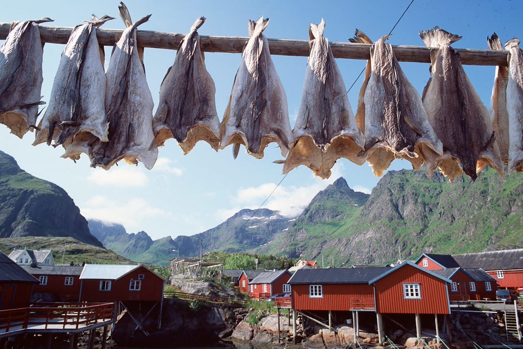 Image Randonnée Ile De Senja - Randonnée Iles Lofoten - Parc National Anderdalen