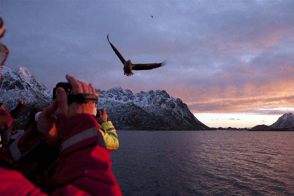 Image Autotour et randonnée Lofoten - Safari baleines - séjour Lofoten