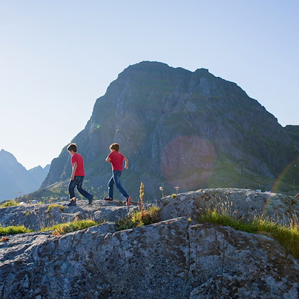 Observation animalière Norvège Iles Lofoten