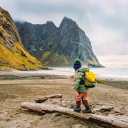 Observation animalière Norvège Iles Lofoten
