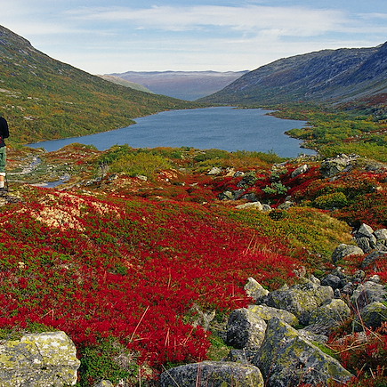 Randonnée Norvège Région des fjords