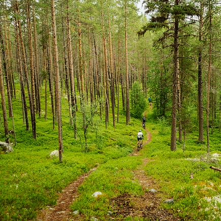 VTT / Gravel Norvège