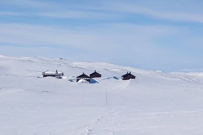 Plateau du Hardangervidda - Norvège