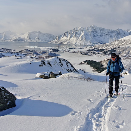 Aurores boréales Norvège Iles Lofoten