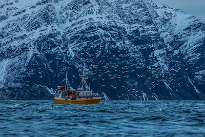 © Jean-Marc Blache - Bateau - Norvège Bateau - Norvège