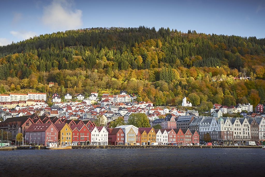 Image Randonnée Norvège - D'Oslo à Bergen en train - Flåmsbana et Sognefjord