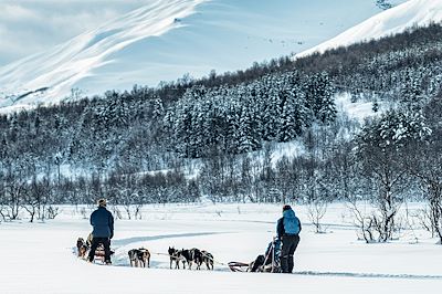 © Roberto Moiola / Sysaworld / Getty Images - Activité chiens de traineau en Norvege Activité chiens de traineau en Norvege