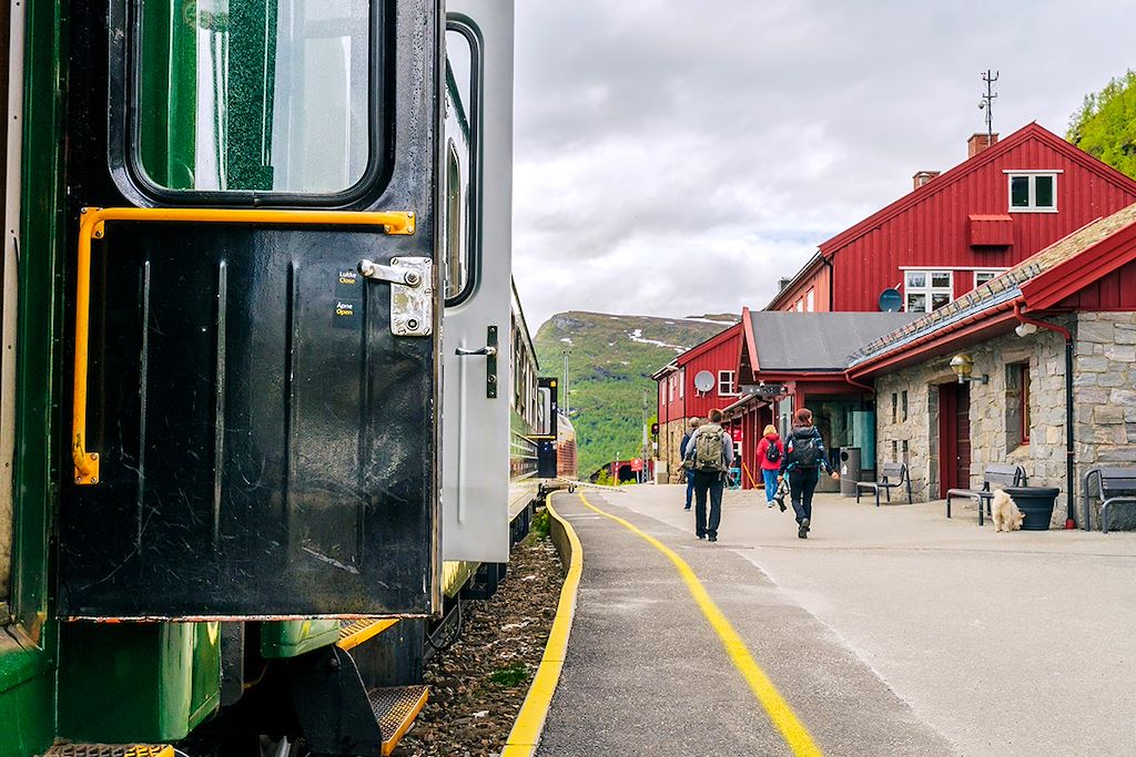 Image Norvège - îles Lofoten, fjords et train Oslo Bergen