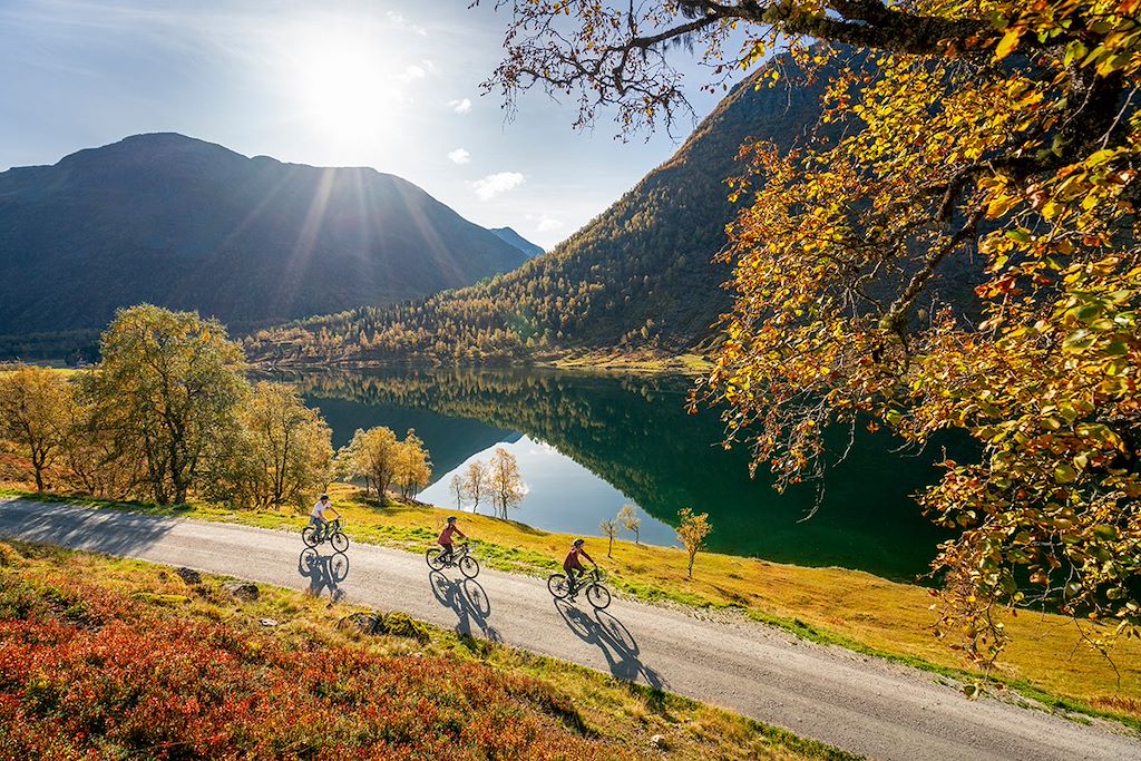 Image Ferry Sognefjord - Train Flam - Vélo Bergen
