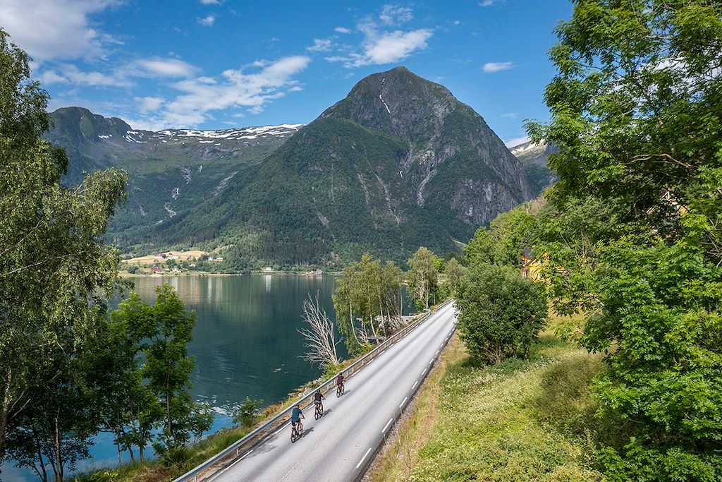 Image Ferry Sognefjord - Train Flam - Vélo Bergen