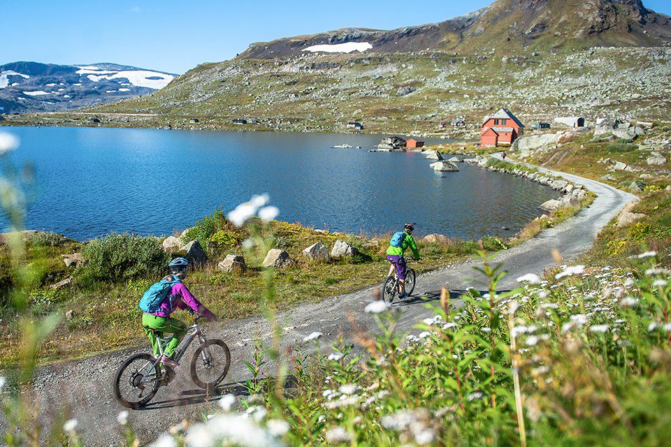 Image Ferry Sognefjord - Train Flam - Vélo Bergen