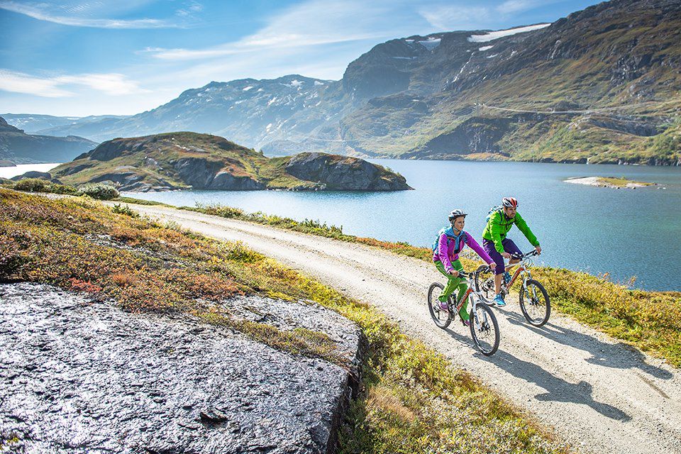 Image Ferry Sognefjord - Train Flam - Vélo Bergen