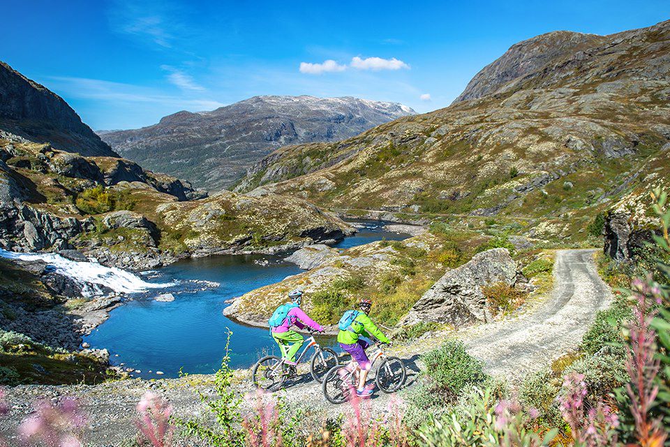 Image Ferry Sognefjord - Train Flam - Vélo Bergen