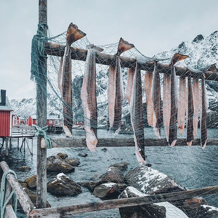Raquette Norvège Iles Lofoten