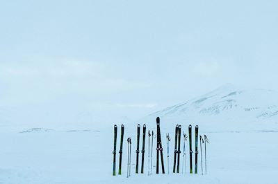 Les skis