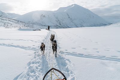 Traîneau à chiens - Norvège