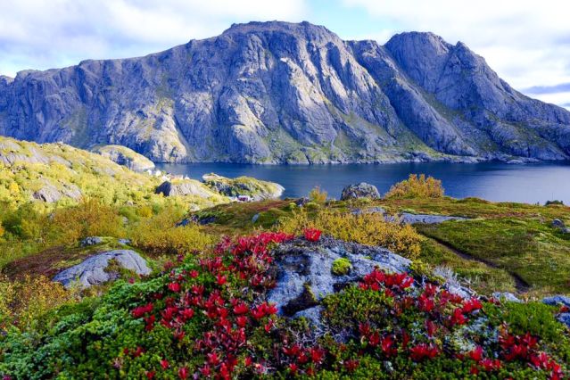 Norvège : Terres Polaires
