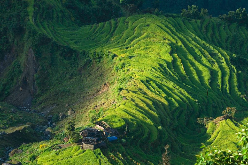 Voyage Sentiers secrets du Ganesh Himal 2