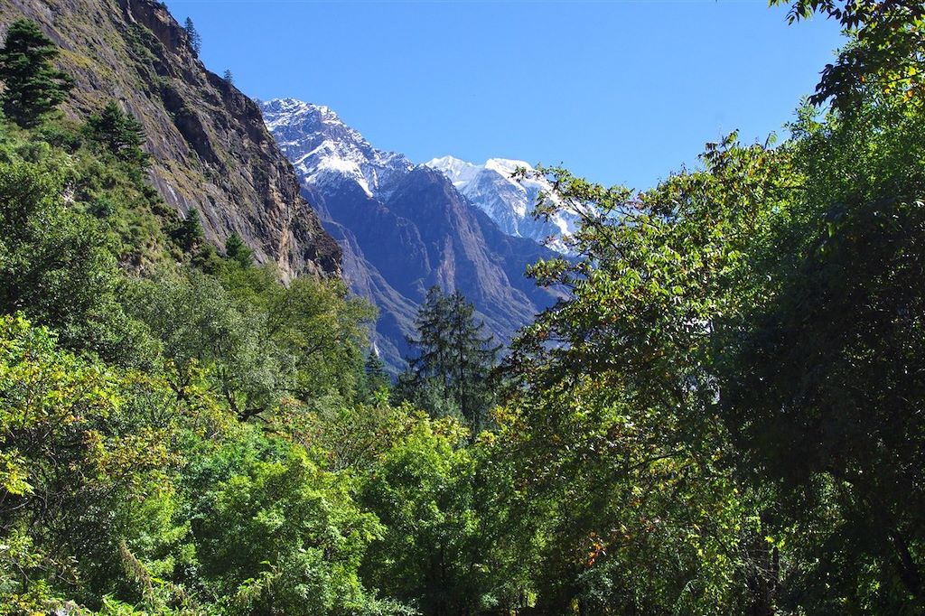 Voyage Sentiers secrets du Ganesh Himal 1