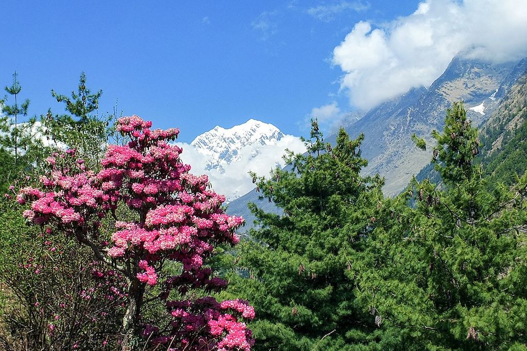 Voyage Balcon et sanctuaire des Annapurnas 1