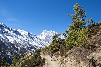 Voyage Annapurnas