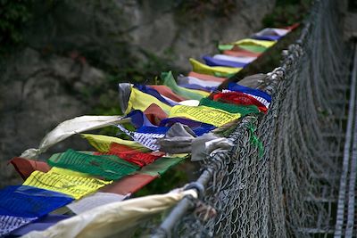 Voyage Tour des Annapurnas 1