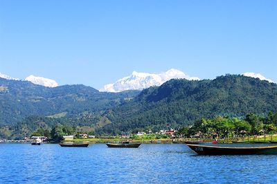 © Dorjee Sherpa - Lac Pokhara - Népal Lac Pokhara - Népal