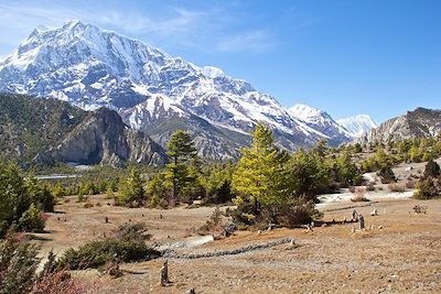 © Franc¸ois Duret - Tour du massif des Annapurnas - Népal Tour du massif des Annapurnas - Népal