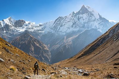 Trek Annapurnas